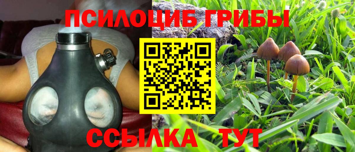 Псилоцибиновые грибы GOLDEN TEACHER Кузнецк