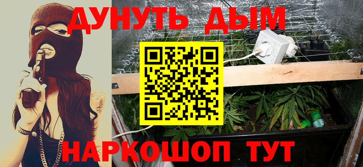 Каннабис Ganja  Каннабис планчик  Кузнецк  Вход с VPN 